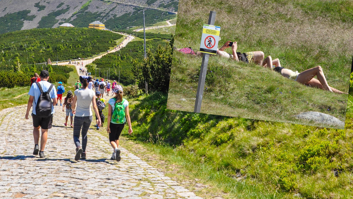 Karkonosze. Park grodzi, a turyści łamią zakazy, bo chcą się poopalać w górach