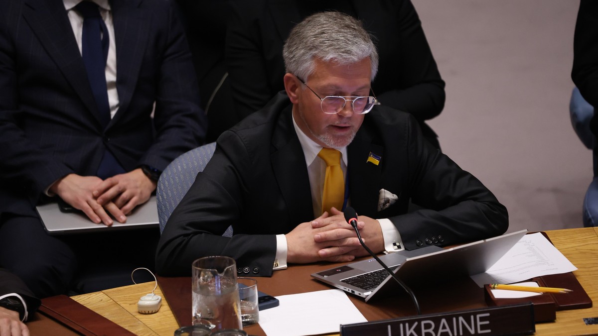 Andrej Meljnik na sednici Saveta bezbednosti UN