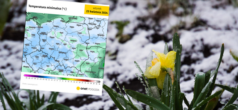 Przymrozki objęły prawie połowę Polski, a to jeszcze nie koniec. Wiemy, kiedy będzie najzimniej