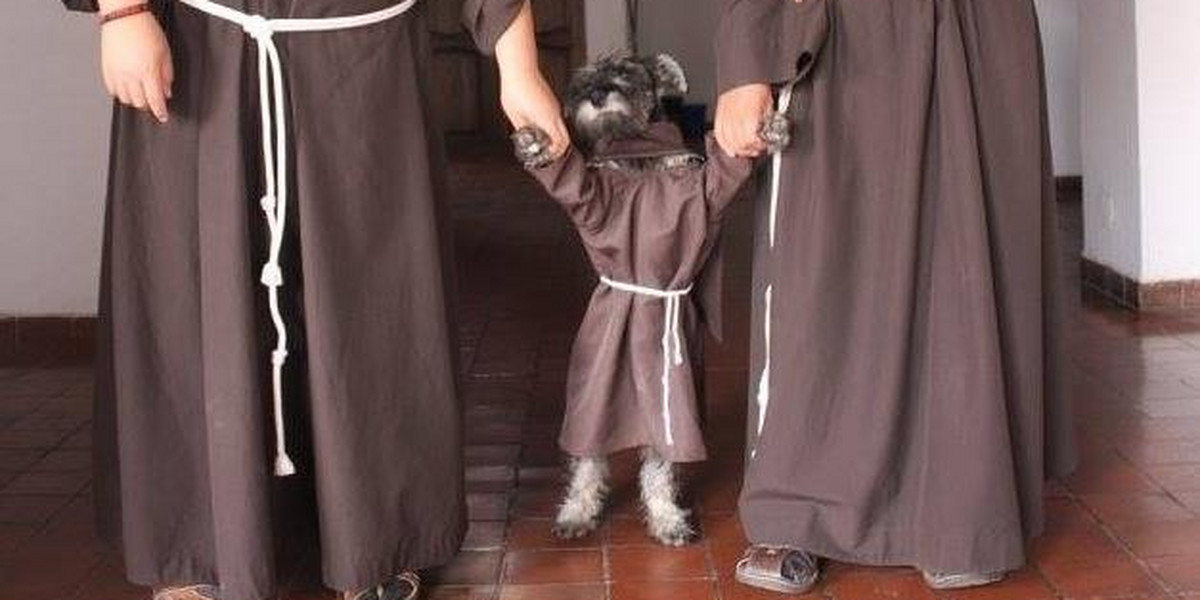 Pies członkiem zakonu franciszkanów