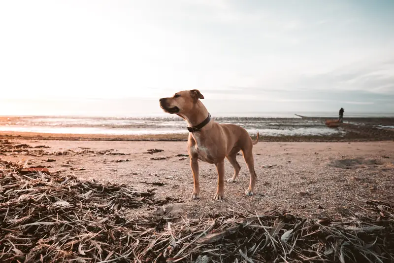 unsplash/wieger stienstra