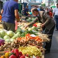 Fasolka szparagowa ponad dwa razy droższa. Cena szokuje