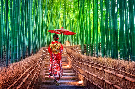 Bambusowe lasy