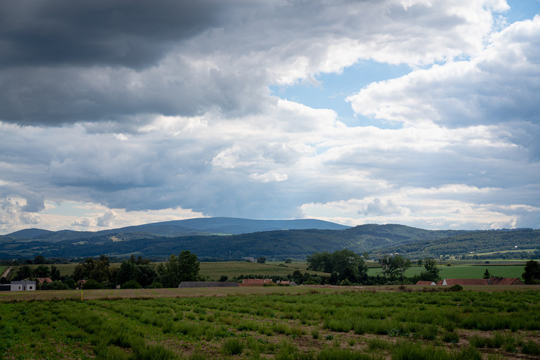 Osiedle Witoszów. Widok na góry z jednego z domków