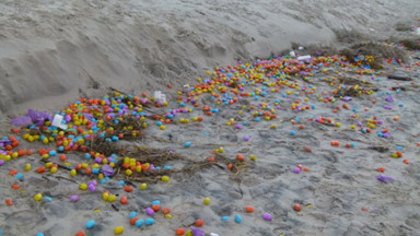 A to niespodzianka! Morze wyrzuciło na brzeg tysiące jajek