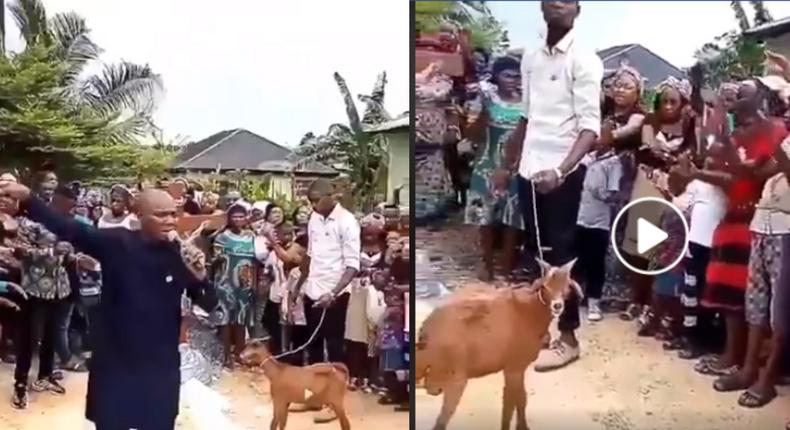 Pastor and church members pray to God through a goat (video)