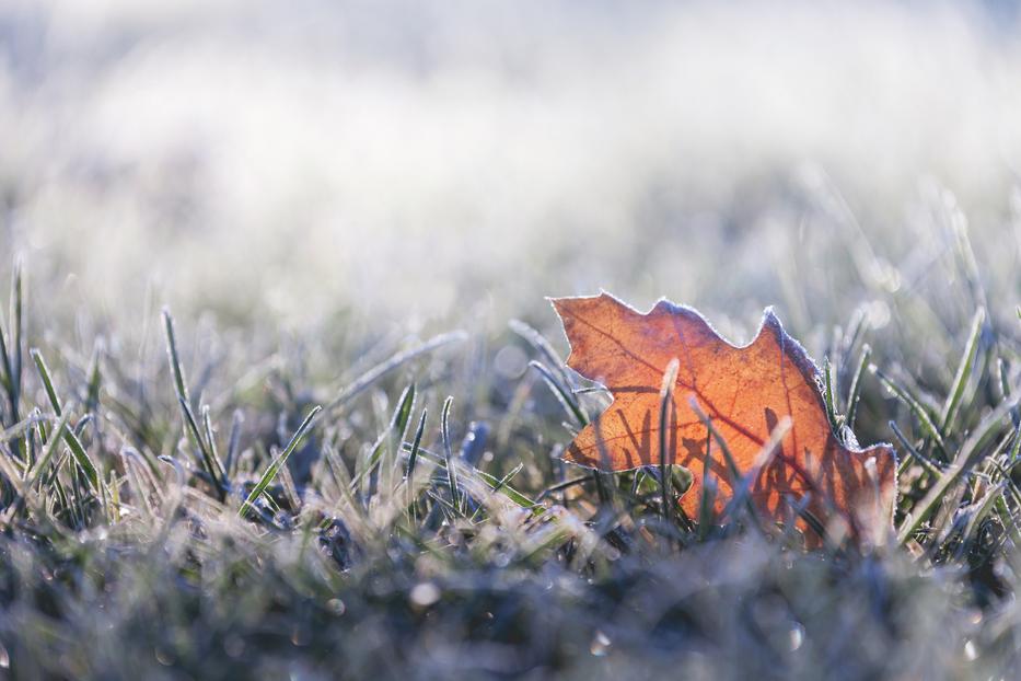 Ősz / Fotó: GettyImages