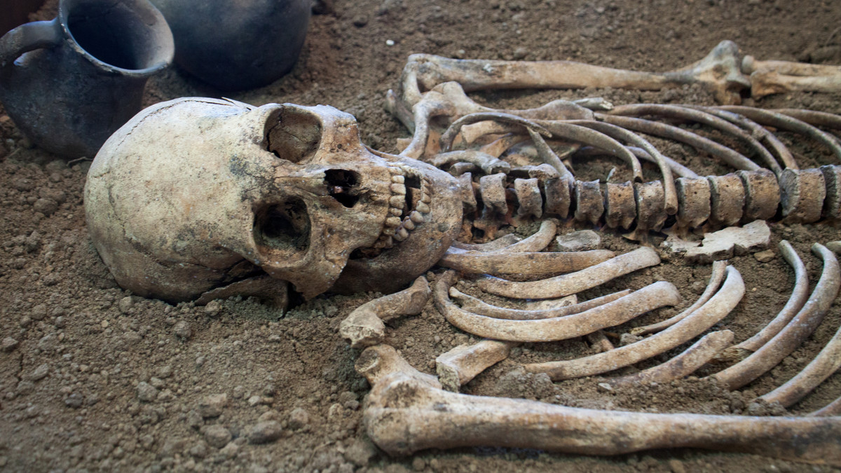 Szokujące odkrycie pod Łodzią. Tony ludzkich kości wydobyto podczas remontu ulicy