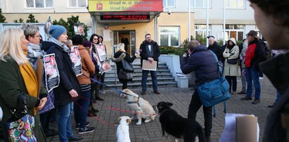 Sady mają być owocowe!