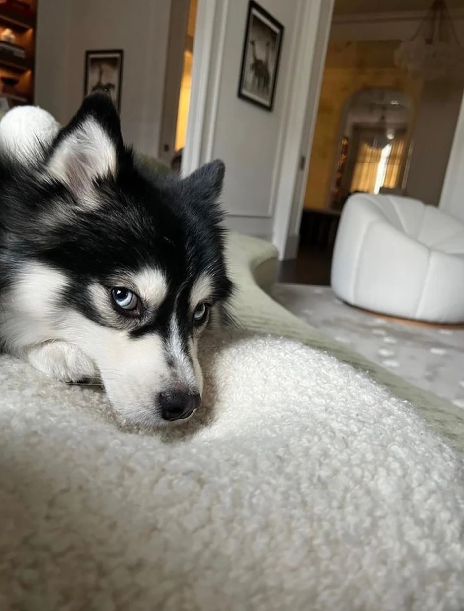 Piksijeva ćerka Anja živi u neverovatnom luksuzu