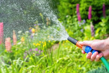 Locsolás közben esett össze egy férfi, a szomszédja hívta a mentőket