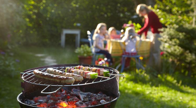 Táplálkozás-szakértőnk elárulta a titkot: így ehetsz egészségesen, a nyári kertipartikon Fotó: Getty Images