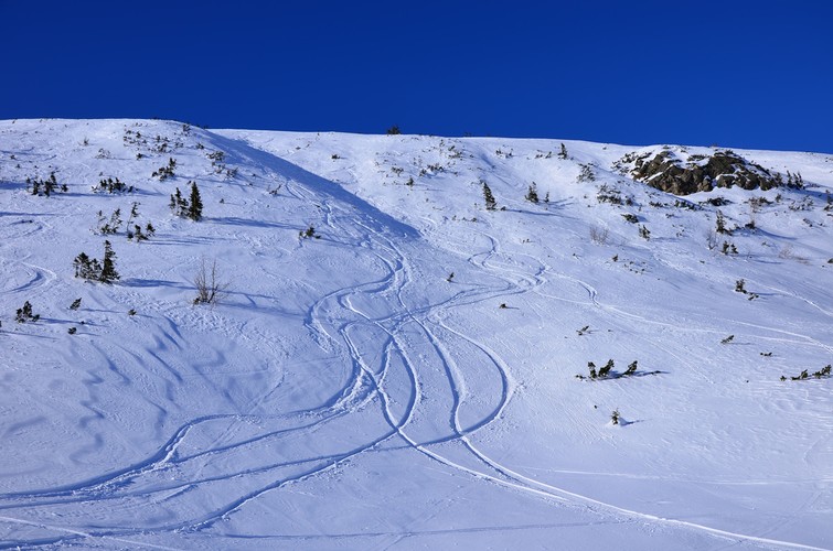 Hala Gąsiennicowa - miejsce z którego można dostać się wyciągiem na Kasprowy Wierch.  Jej dolna stacja znajduje się na Roztoce Stawiańskiej. Działa tylko w sezonie zimowym.