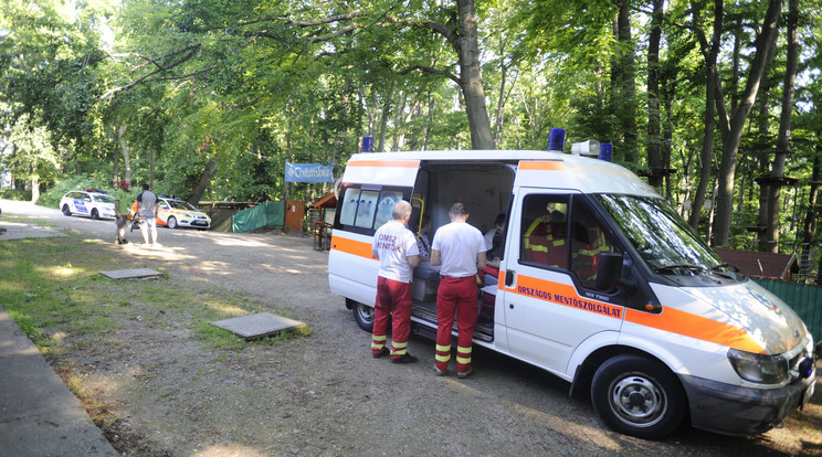 Már első nap szükség volt a mentőkre a Szigeten / Fotó: MTI- Mihádák Zoltán