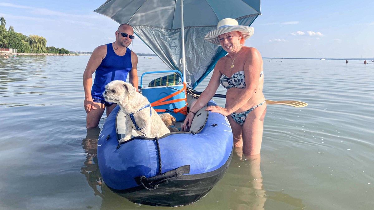 Így pancsolnak a kutyák Balatonkenesén, pedig hivatalosan nem is az ő strandjuk – fotók
