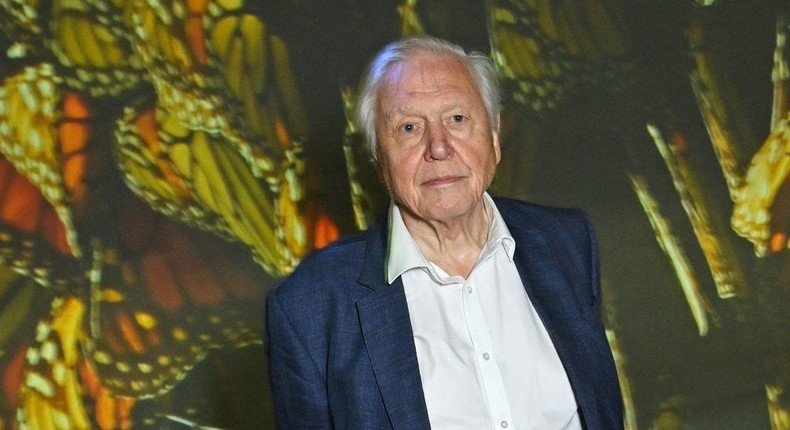 Sir David Attenborough, 97, at the premiere of his BBC documentary, Planet Earth III, in October.Dave Benett/Getty Images