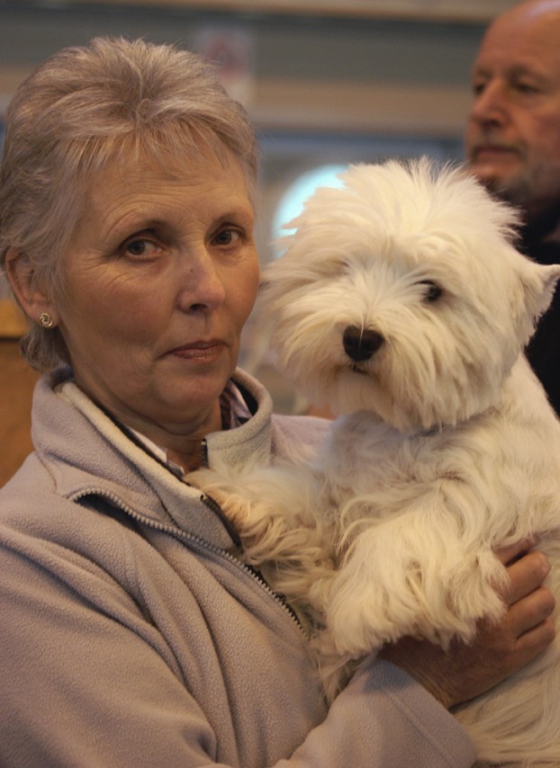 CRUFTS psy i ich właściciele