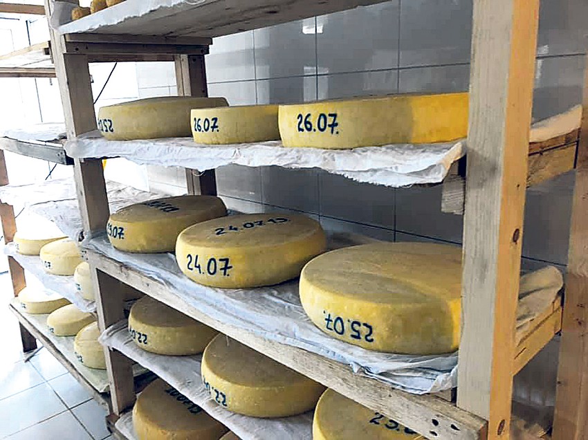 Kako kažu, njihov sir od nepasterizovanog mleka sa dugim zrenjem liči na trapiste i kačkavalje