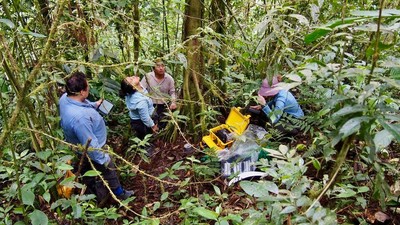 Researchers measure methane in trees in Peru.Vincent Gauci