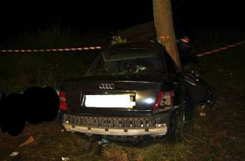 Audi wbiło się w drzewo. Śmierć młodych chłopaków. Drastyczne zdjęcia