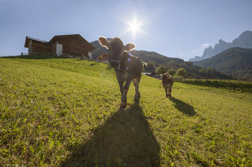 Agroturystyka w Południowym Tyrolu