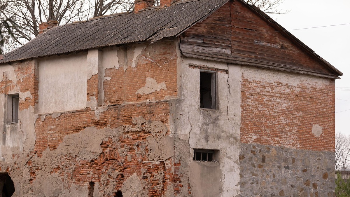Gastrabajter se vratio u rodno selo, rešio da renovira kuću, komšije su ga šokirale (ilustracija)