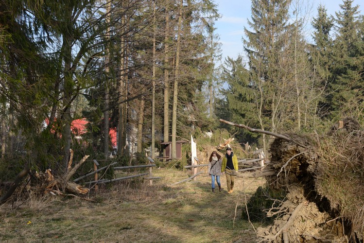Skutki wichury w okolicach Zakopanego