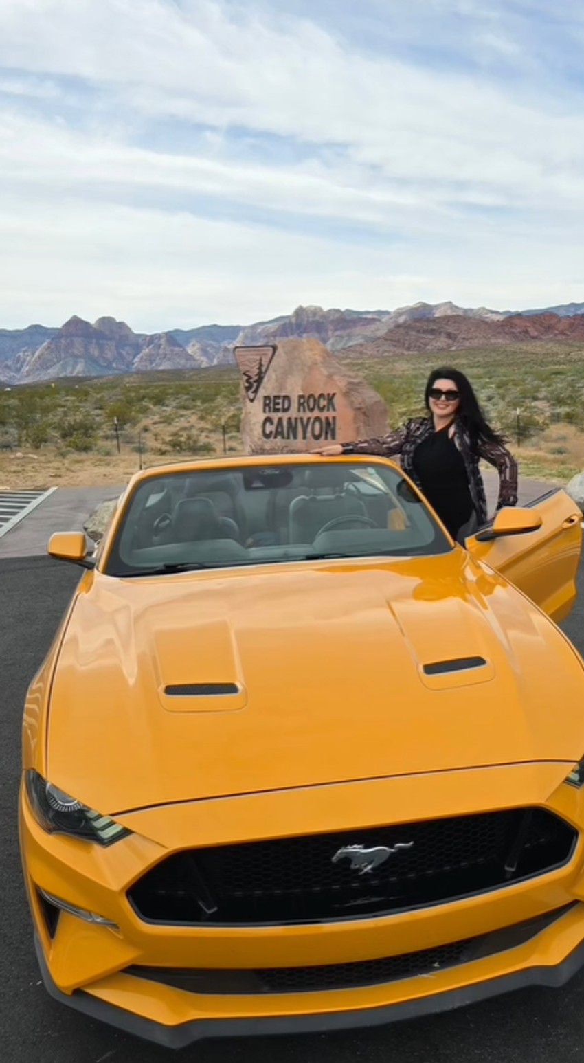 Dragana Mirković, objava