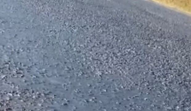 Topi se asfalt u Bodrumu