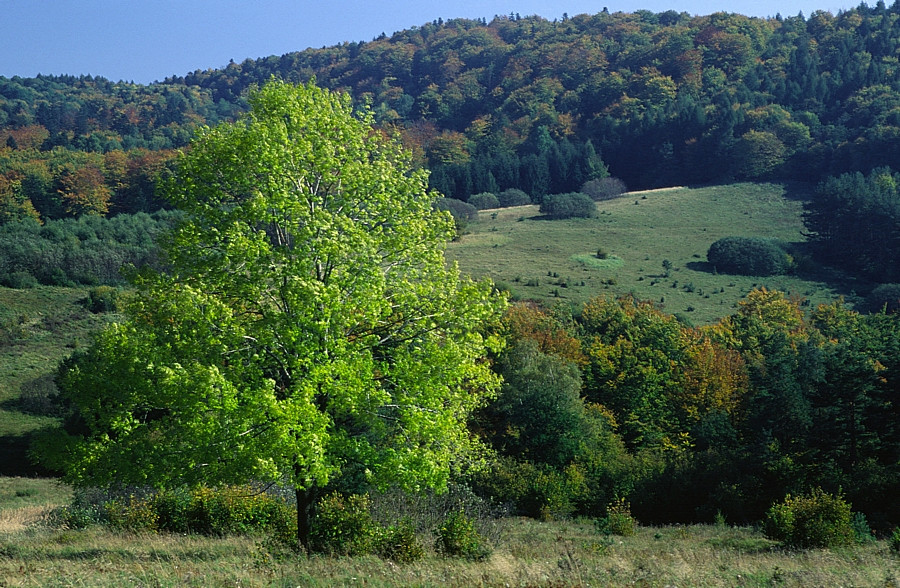 Beskid Niski - góry bez turystów