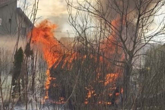 VELIKI POŽAR U NOVOM SADU Proširila se vatra sa niskog rastinja na šupu sa ogrevom (FOTO)