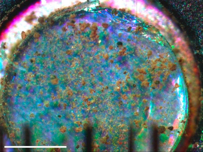 Uwaga! Wykopki na Marsie