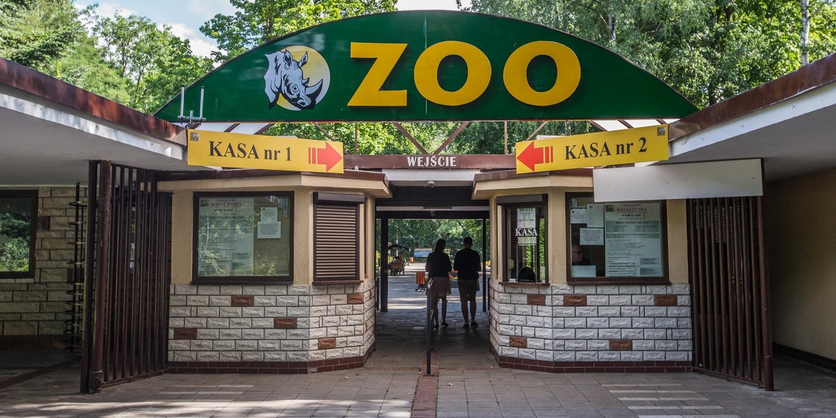 Nowym dyrektorem ZOO w Poznaniu została Ewa Zgrabczyńska