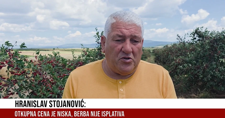 Hranislav Stojanović