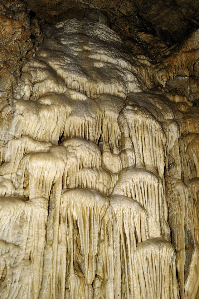 Jaskinia Niedźwiedzia w Sudetach