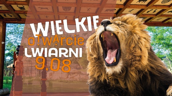 Zoo zaprasza w piątek na wielkie otwarcie lwiarni