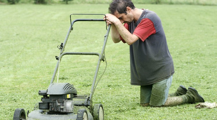 Fűnyírás Fotó: Shutterstock