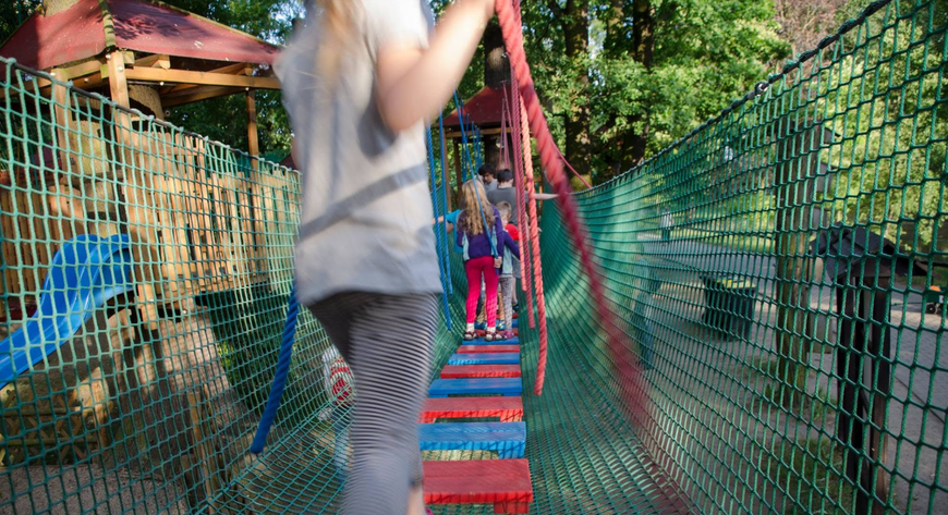 Park linowy w zoo to świetna zabawa dla małych i dużych