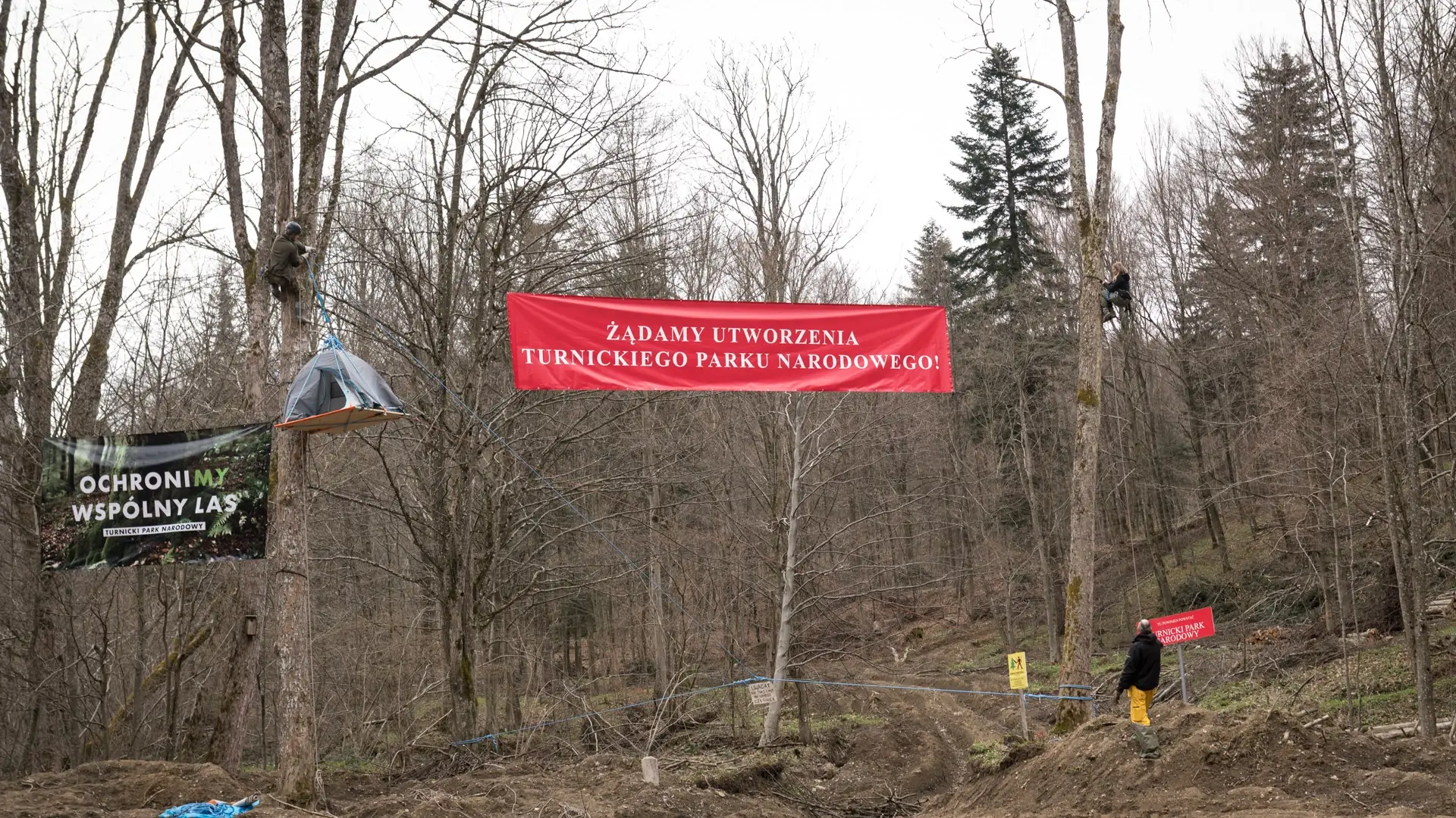 Okupują Puszczę Karpacką. "Jesteśmy zdesperowani. Ma stąd wyjechać 36 tys. tirów drewna"