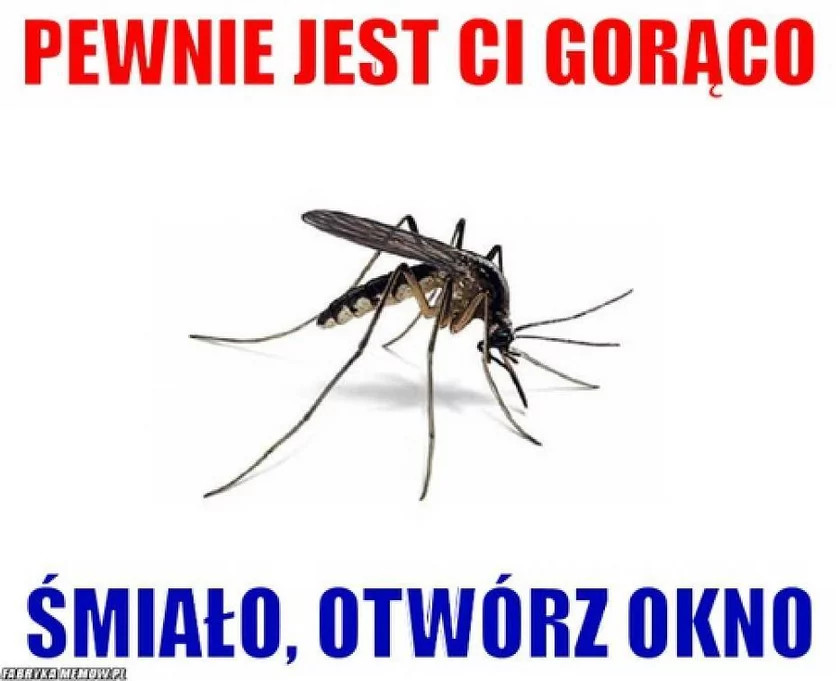 Memy o upałach. Internauci w formie