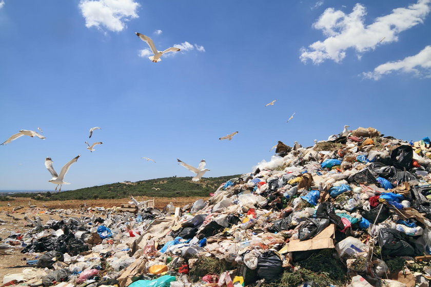 Coraz więcej śmieci trafia do Polski