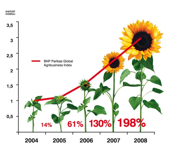 Charakterystyka wzrostu indeksu BNP Paribas Agribusiness