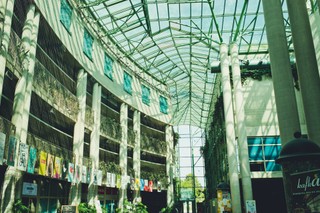 Studenci stoją w kolejkach przed BUW. W związku z zagrożeniem koronawirusem biblioteka będzie nieczynna