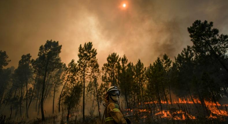 More than 1,200 firefighters were deployed to fight the blazes in the heavily forested Castelo Branco region