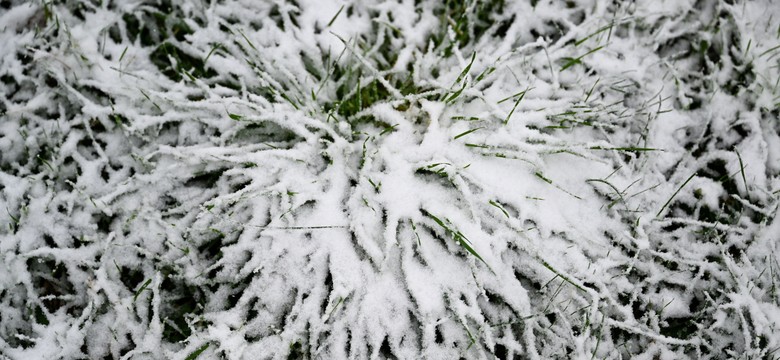 Do Polski dociera arktyczne powietrze. W Przemyślu pierwszy śnieg [ZDJĘCIA]
