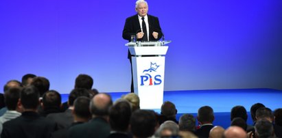 Bunt zwolenników PiS. Ten sondaż to cios dla Kaczyńskiego