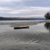 Dunav kod Apatina - nizak vodostaj, arhiva