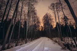 Powstanie plan zarządzania Puszczą Białowieską. Przygotuje go zewnętrzna firma