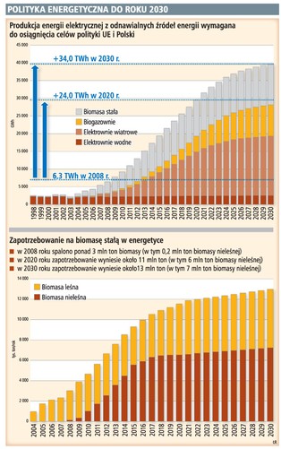 Rośnie popyt na rośliny energetyczne