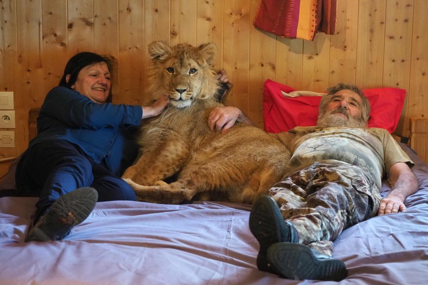 Matka próbowała go zjeść. Teraz mieszka z ludźmi